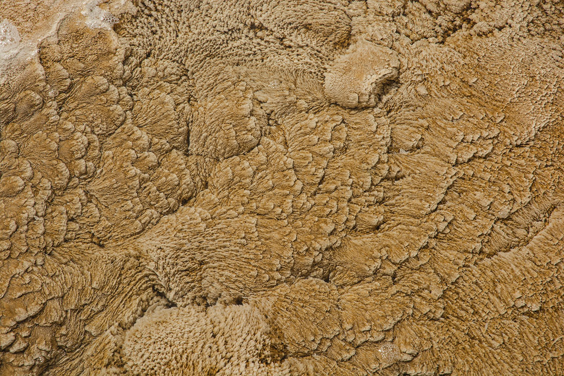 Mammoth springs